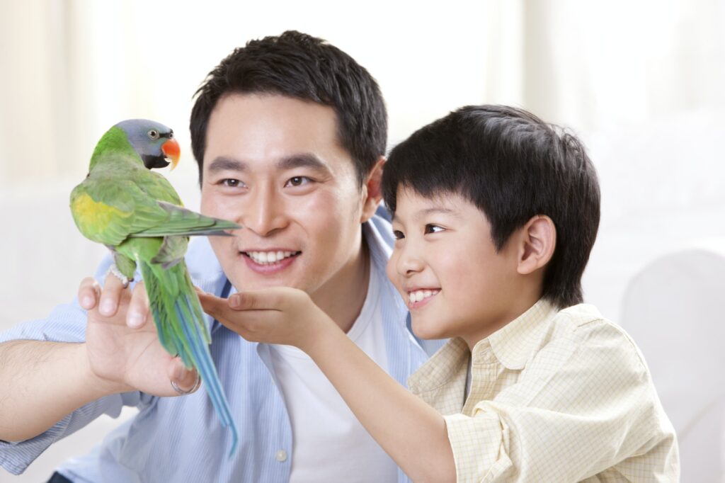 Father and son playing with a pet parrot